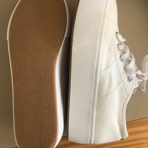 New Steve Madden Sneakers